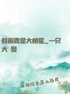 我前妻是大明星
