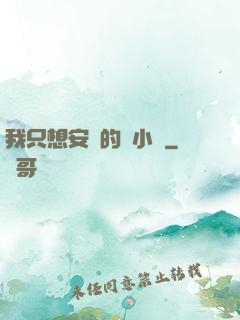 我只想安靜的寫小說