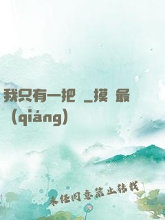 我只有一把槍