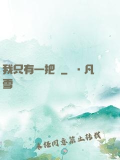 我只有一把槍