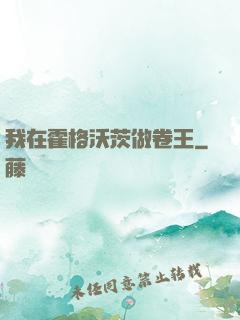 我在霍格沃茨做卷王