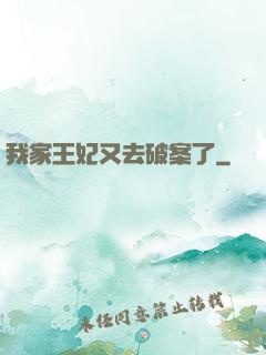 我家王妃又去破案了
