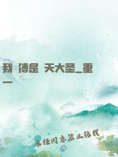 我師傅是齊天大圣