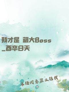 我才是隱藏大Boss