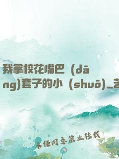 我拿校花嘴巴當(dāng)套子的小說(shuō)