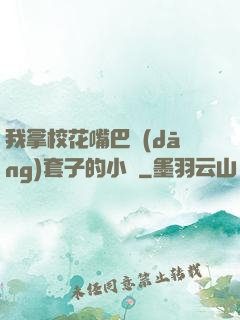 我拿?；ㄗ彀彤?dāng)套子的小說