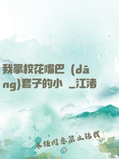 我拿校花嘴巴當(dāng)套子的小說