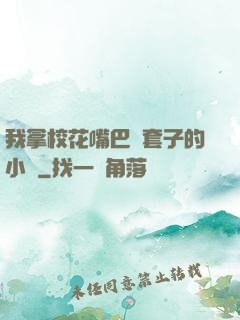 我拿校花嘴巴當套子的小說