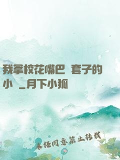 我拿校花嘴巴當套子的小說