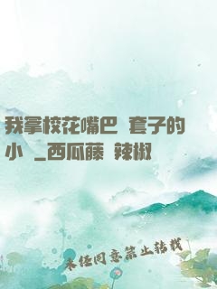 我拿校花嘴巴當套子的小說