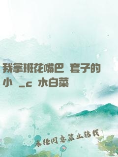 我拿班花嘴巴當套子的小說