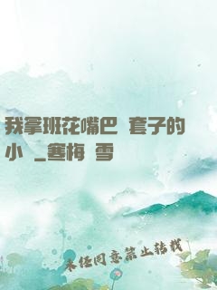 我拿班花嘴巴當套子的小說
