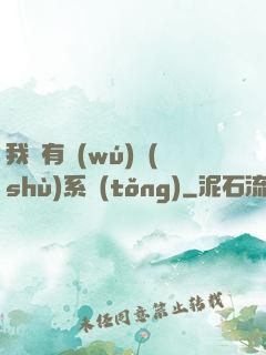 我擁有無(wú)數(shù)系統(tǒng)