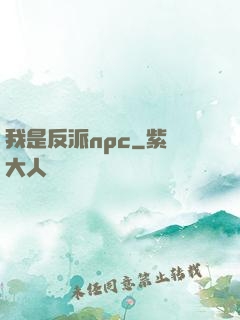我是反派npc