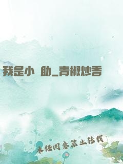 我是小輔助