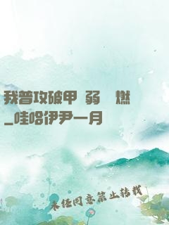 我普攻破甲虛弱帶點燃