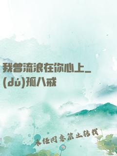 我曾流浪在你心上