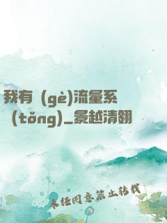 我有個(gè)流量系統(tǒng)
