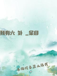 我有六個外掛