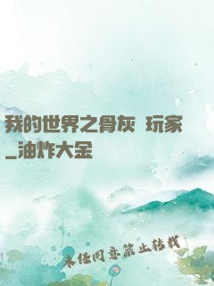 我的世界之骨灰級玩家