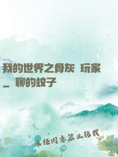 我的世界之骨灰級玩家