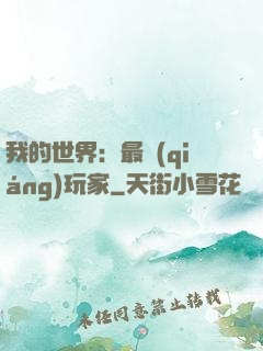 我的世界：最強(qiáng)玩家