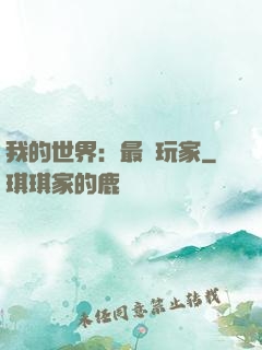 我的世界：最強玩家