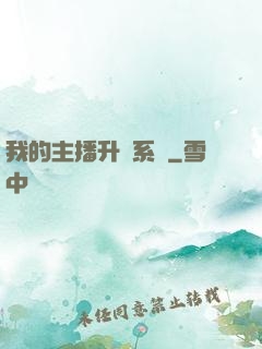 我的主播升級系統
