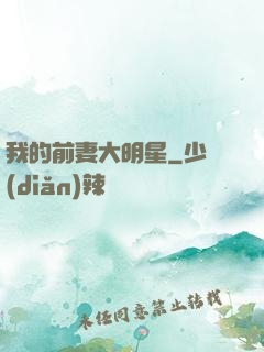 我的前妻大明星