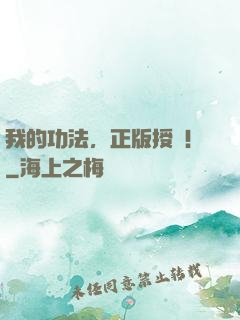 我的功法，正版授權！