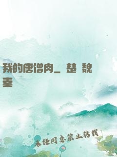 我的唐僧肉