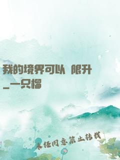 我的境界可以無限升級