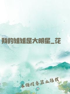我的姐姐是大明星
