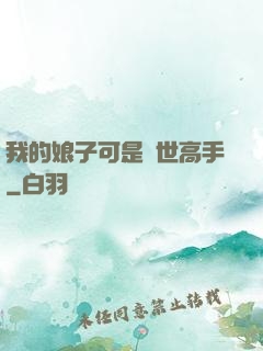 我的娘子可是絕世高手