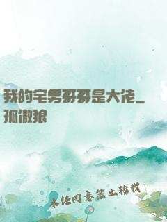 我的宅男哥哥是大佬