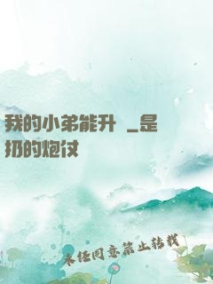 我的小弟能升級