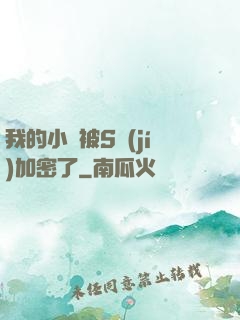 我的小說被S級(jí)加密了