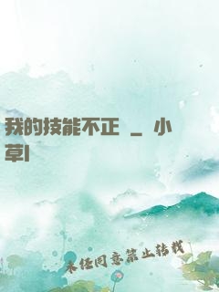 我的技能不正經