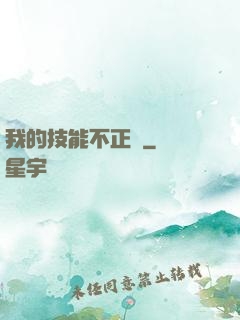 我的技能不正經