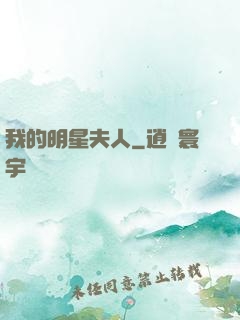 我的明星夫人