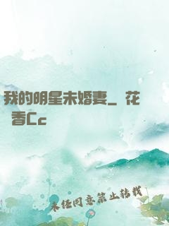 我的明星未婚妻