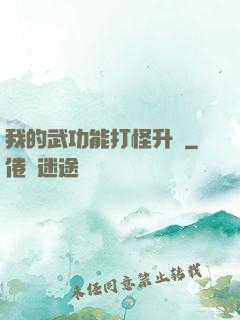 我的武功能打怪升級
