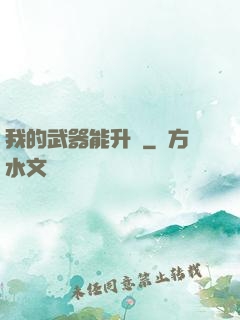 我的武器能升級
