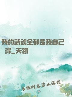 我的武魂全都是我自己變得