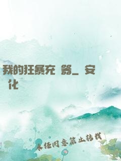 我的狂暴充電器