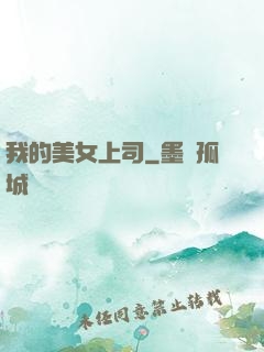 我的美女上司