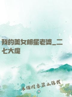 我的美女明星老婆
