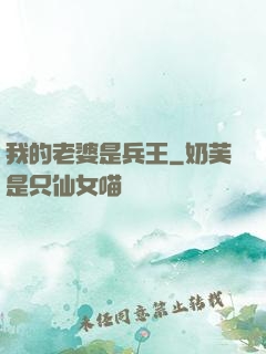 我的老婆是兵王