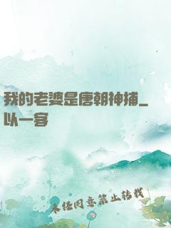 我的老婆是唐朝神捕