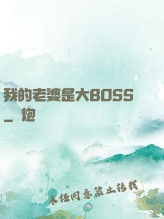 我的老婆是大BOSS